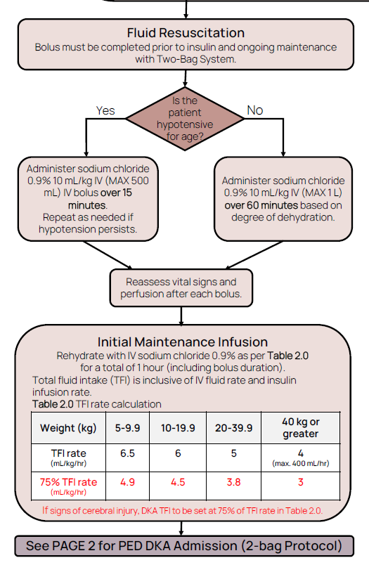 WRHN DKA 2-Bag Algorithm β Fluid Resuscitation and Initial Maintenance Infusion